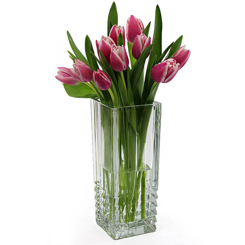 DUEMILA Vaso Quadro Bormioli Rocco Cm 23 – Vaso Portafiori In Vetro, Design Classico Per Casa E Ufficio - 5